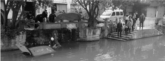 12岁熊孩子偷开妈妈汽车冲下河车几乎报废(图)