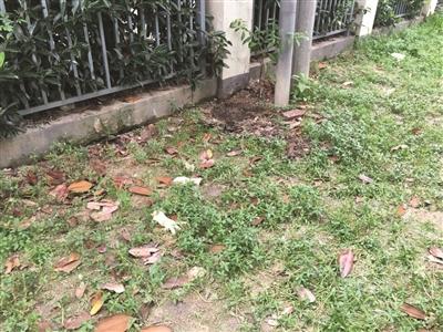 ����һŮ�������Ѳ��������ѽ�����Ӥ������ͼ��