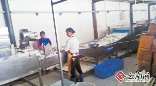 ��������ӹ������;߳��ң�֤����ȫ�ܸɾ���ͼ��