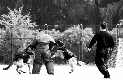 ����29��ȮͶ��25�ɳ������ڰ���Э����������