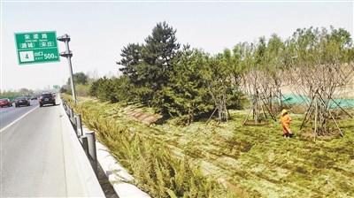 通燕高速6月完成绿化景观提升可对雨水截留净化
