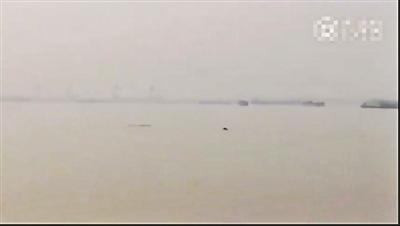 �ƿ��ӳ��ĵ���ͷ���ư��D��������ר�ң�ʵΪ����