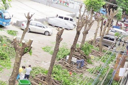 С����ľ������ͷ������������ҵ��ֻ�������޼�