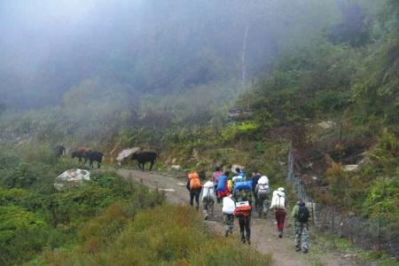 3驴友穿越卧龙无人区被困16人救援小组紧急出动