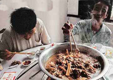 新京报:吃"水煮活猫"养出的是失魂落魄的人