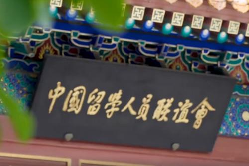 《我看见春天的样子》三八妇女节温情上线：她们的征途，亦是春天的来路