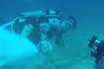 中新网-视频-广场舞被列入全运会竞赛项目