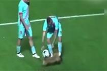 中新网-视频-狗狗闯进足球场 与球员热情互动