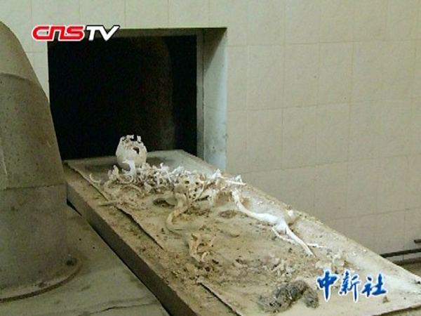 中新网 视频 探访 生命最后一站 揭秘殡仪馆火化流程