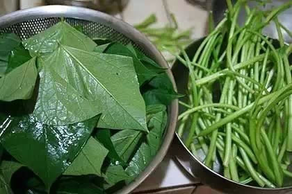 一斤番薯叶顶十斤人参!