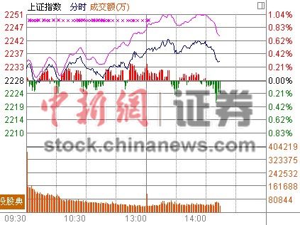 14ʱ����:�����̳�߻�����40ֻ������ͣ