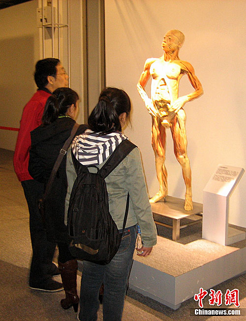 北京举办大型生命奥秘展览