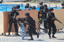 ���壺���ɱ���չ���ʽ����ϰ