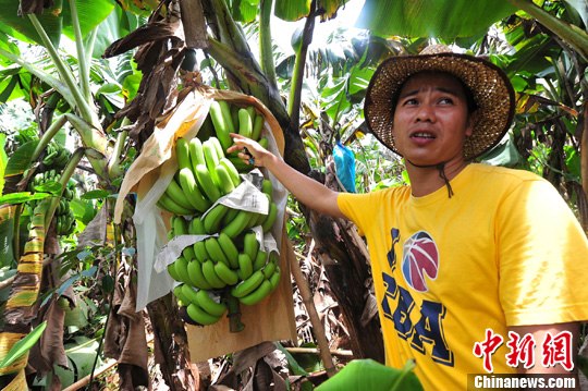 �����㽶��������������⡰������