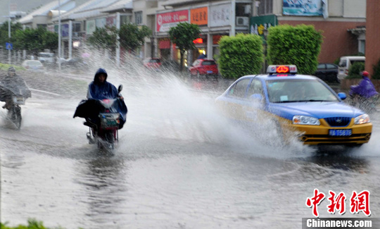 ���ݱ��������Գ���