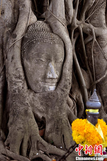 ̩����ѡ�����������������˱�����2��