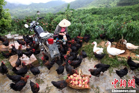 ˮ����ι���������������ʹ�������