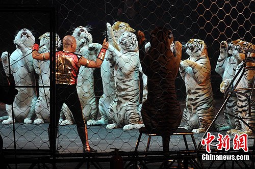 ������Ϸ�ű��������ϼ��ݹ��ڣ�2��