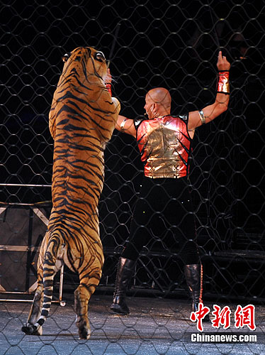 ������Ϸ�ű��������ϼ��ݹ��ڣ�3��