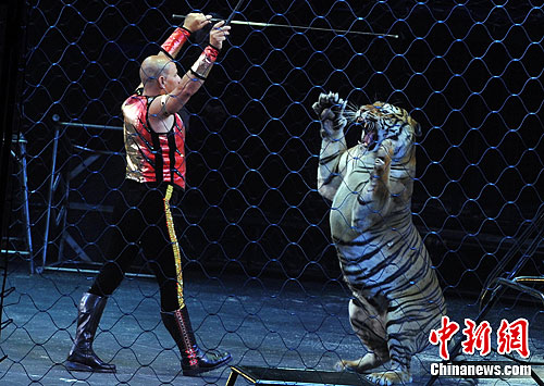 ������Ϸ�ű��������ϼ��ݹ��ڣ�4��