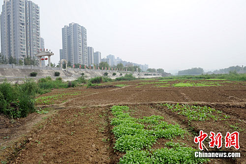 �����ӵ��֡�����ũ�������񵱡�ũ������