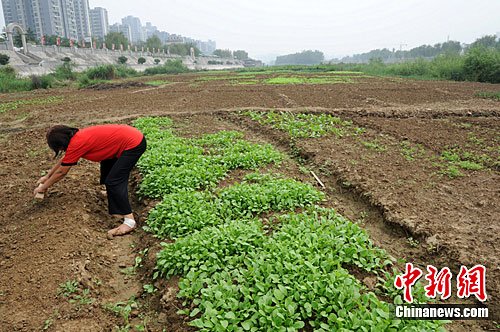 �����ӵ��֡�����ũ�������񵱡�ũ��������2��