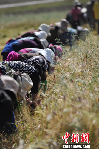 �Ĵ������ؽ����������������ʱ��