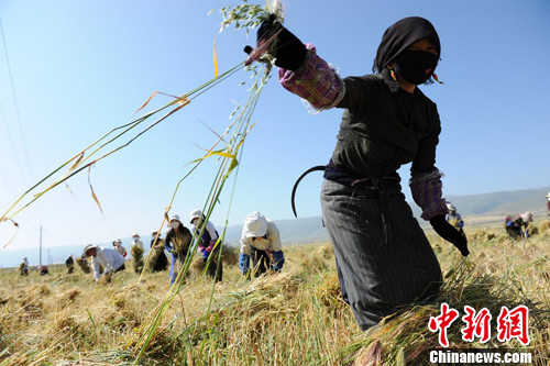 �Ĵ������ؽ����������������ʱ�ڣ�2��