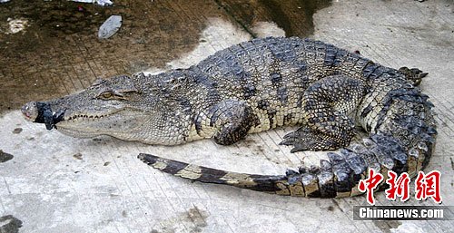 ������ɽ��ˮ���Գ��ִ�����