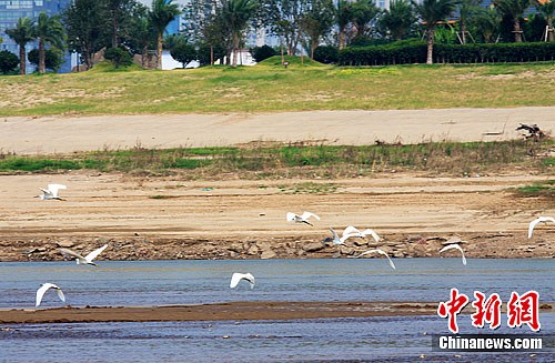 ��ϡ��������輯�潭