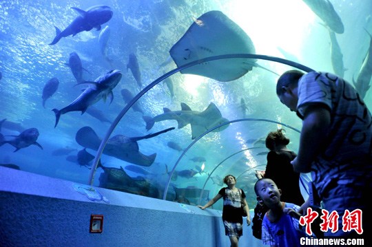 �ൺ������������ͬ��