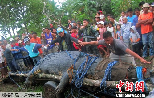 ���ɱ���������6.4������