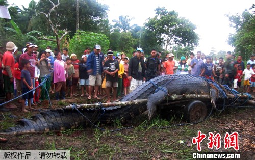 ���ɱ���������6.4�����㣨2��