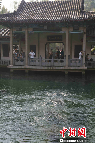 ������ͻȪ��ӿ8���괴40��������ӿ��¼��2��