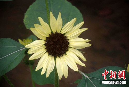 ������տ�����֣�ݣ�2��