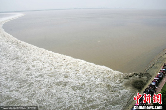 �㽭��������׳�ۡ�һ�߳���