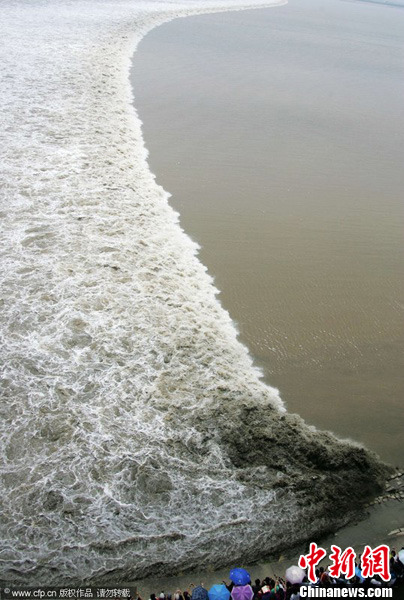 �㽭��������׳�ۡ�һ�߳�����2��