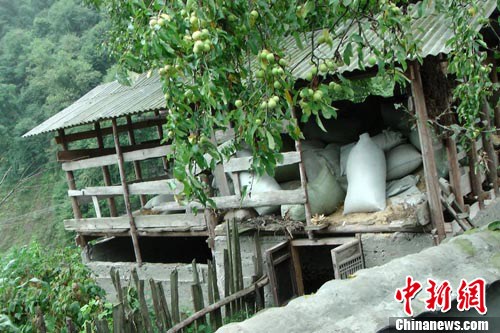 ������ɽһ�ƶ��ѵ㱻��ɻ����ԭ�Ϲ���