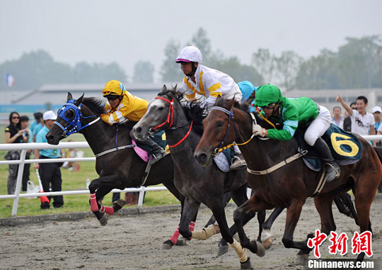 2011�й��������ڳɶ���Ļ