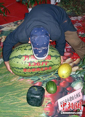 �ش�136�������������չ��