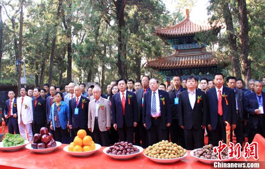 ���Ӻ���ɽ���������ӵ���2516����