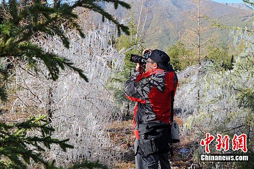 ���˼��ɾ����½�����˹���ֱ�������