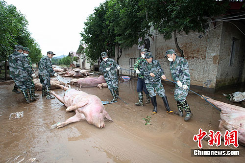 �Ĵ����к��ֺ��������ʬ��