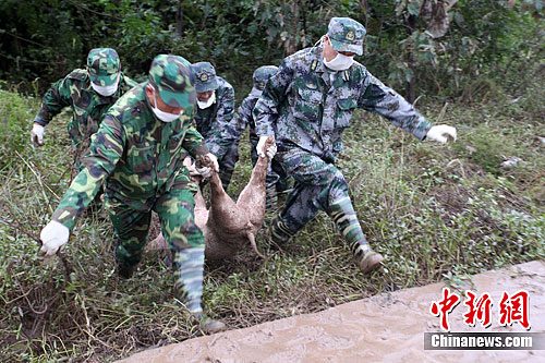 �Ĵ����к��ֺ��������ʬ�壨2��