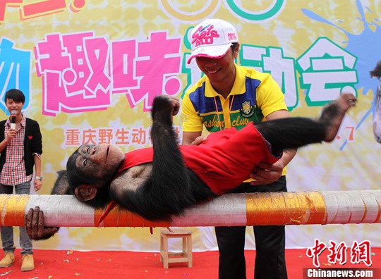 ���조�����˶��ᡱ���ɹ��������ܣ�2��