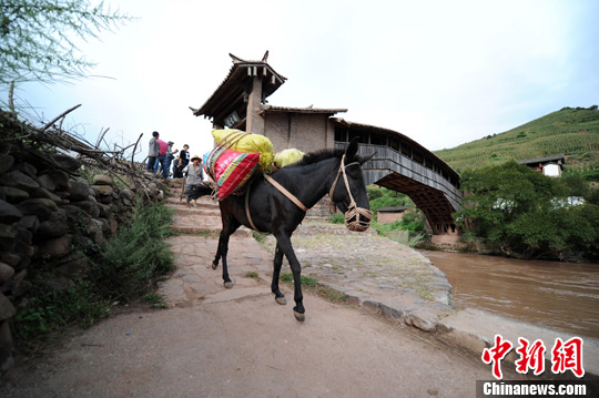 ��Խǧ����������ŷ����̴�