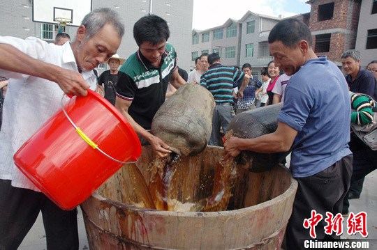 ���׺ӷ����ƽ����ֺط���