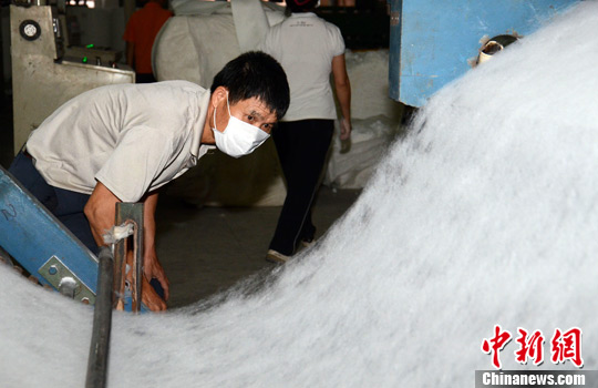 ���������̽�ù㶫��ƽ������ũ����4��