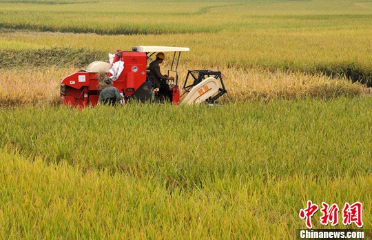 ��Դ����ʮ��ϲ����