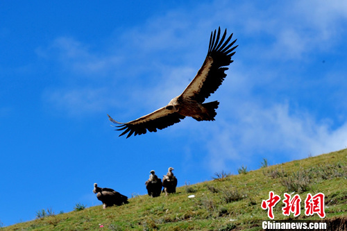 ������ԭͺ�հ���